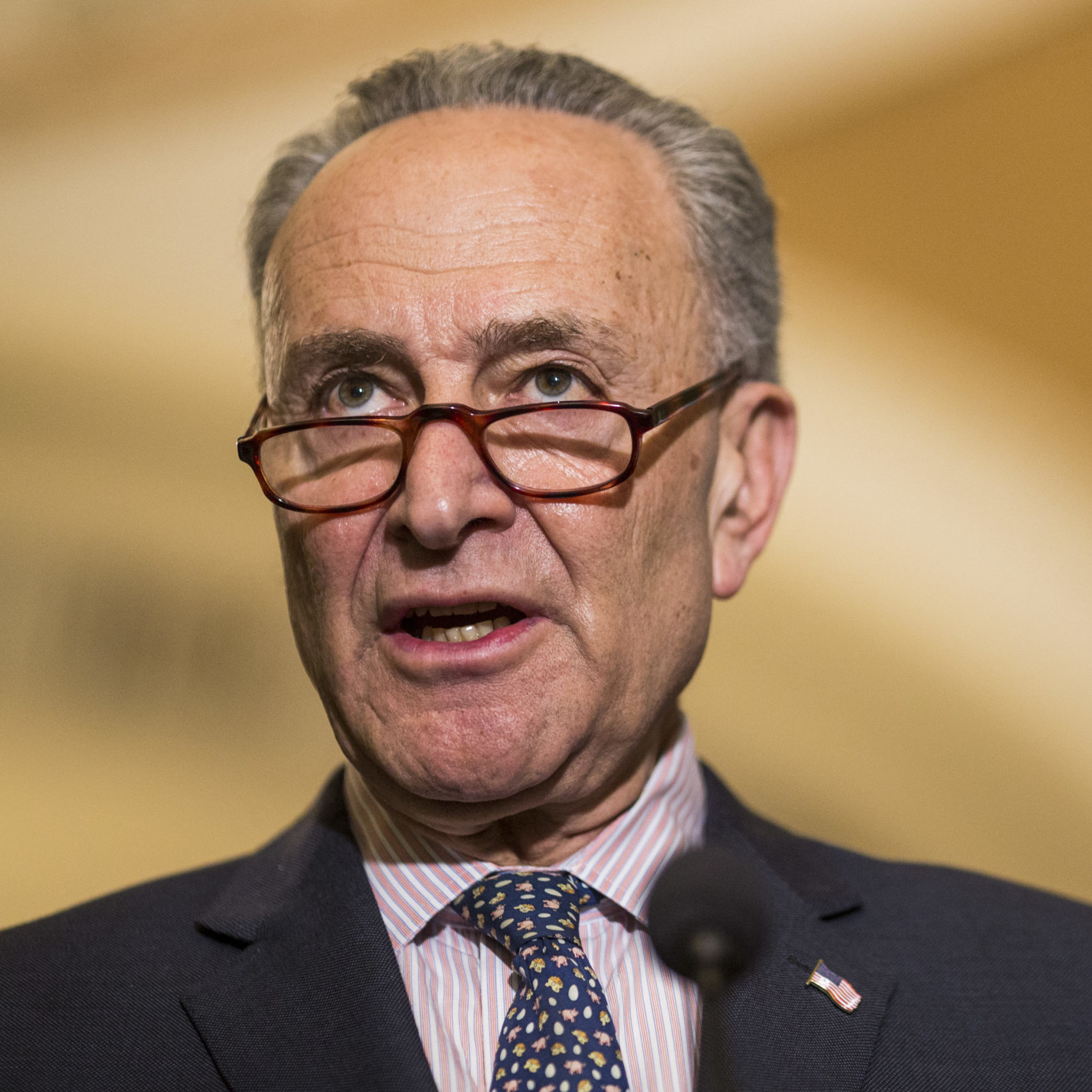 Senator Charles Schumer